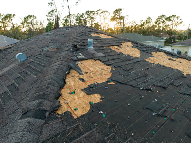 Best Roof Moss and Algae Removal  in Artesia, CA