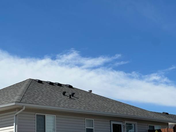Best Roof Ventilation Installation  in Artesia, CA